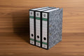 Lion File Lever Arch File F4 3"